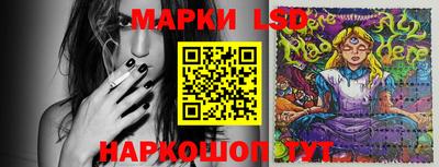 гидропоника Будённовск