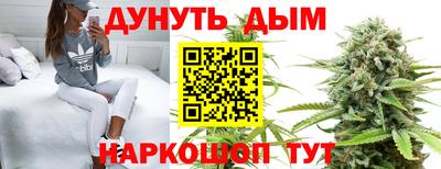 гидропоника Будённовск