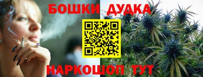 гидропоника Будённовск