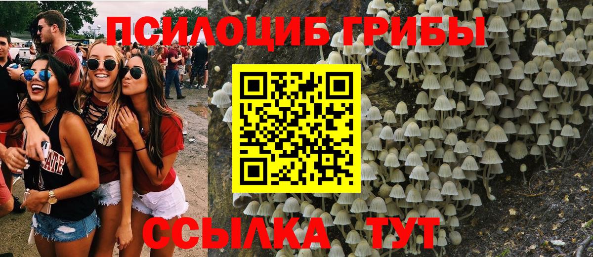 Галлюциногенные грибы Cubensis Иркутск